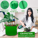 NEW Kopotma 3 Gallon Fabric Grow Bags - Colorful Planters for Vegetables, Flowers, Tomatoes - 5-Pack Garden Pots