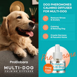 NEW Dog Calming Pheromone Plug Diffuser: Dog Calming Pheromones Diffuser - Reduces Stress & Anxiety Calming Pheromone Diffuser for Dogs - Calm Dogs 60 Supply, BB: 03/28