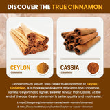 NEW Sealed Organic Ceylon Cinnamon Capsules – 2250mg Daily (750mg Each) with Bioperine for Absorption | Vegan, Non-GMO | 120 Capsules – Kasha Nutrition | BB: 01/29