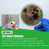 NEW Mold Test Kit for Home Within 6 Individual Tests, DIY Detector at Home, Surface Mold, HVAC, Indoor Air Quality Testing Kits, Black Mold Testing, Includes Detailed Mold Identification Guide and Free Lab