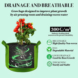 NEW Kopotma 3 Gallon Fabric Grow Bags - Colorful Planters for Vegetables, Flowers, Tomatoes - 5-Pack Garden Pots
