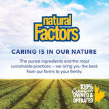 NEW Retails $34+ Natural Factors NAC Supplement (N-Acetyl-L-Cysteine), 600 mg, 180 Vegetarian Capsules, VALUE SIZE, Free Form Amino Acid, Helps Restore Glutathione Levels, Antioxidant Support, Proudly Canadian, BB: Mar/2029