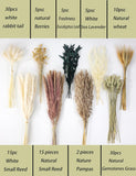 NEW xin's convey 110pcs Dried Pampas Grass Decoration, Dried Flower Bouquet in Vase, Reed Grass Bouquet for Boho Floral Home, Wedding Party Centerpiece, Rustic Farmhouse Decoration (Brown), Vase Not Included