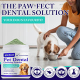 NEW KZUO Dog Dental Powder - Dog Teeth Cleaning Powder - Tartar & Plaque Reducer - Bad Breath Solution - Easy Teeth Cleaning for Small, Medium, Large Dogs & Cats, BB: 10/27