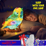 NEW Paint Your Own Owl Lamp Kit, Art Supplies Crafts Kit, Painting Kit for Kids 6-8, Arts and Crafts for Kids Ages 8-12, Toys for Girls Boy Birthday Gifts for Kids
