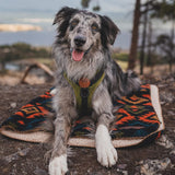 NEW Wilderdog Sherpa Fleece Waterproof Dog Blanket - 60" x 90" - Navy Retails $151+