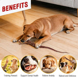 NEW Sealed Grass-Fed Beef Tail Bones for Dogs – Durable Chewing Treats, No Additives or Fillers, Supports Teeth & Gum Health,Single Ingredient, Rawhide-Free & Digestible for All Dogs, BB: 06/27