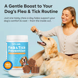 NEW TriOak Flea and Tick Prevention for Dogs Chewable: Natural Soft Dog Treats, Oral Pet Treatment for Dogs Health & Immunity - Daily Supplement & Repellent Chews for Small, Large Dog, Puppy Flea & Tick Control, BB: 07/26