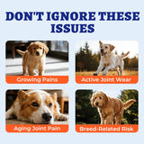 NEW 260g Wellix Dog Hip and Joint Chews with Glucosamine Chondroitin MSM Natural & Healthy Ingredients for Senior Dogs Joint Care, BB: 06/27