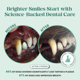 NEW Retails $50, Sealed Dog Breath Freshener Dental Powder - Teeth Cleaning Plaque Off + Tartar Remover for Dogs - Care Supplement Food Topper with Kelp, HMP + Postbiotics for Healthy Gums - Mint Flavor (60 Servings)