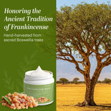 NEW Sealed Dersie Frankincense Balm - 4 oz | Soothes Muscles & Joints, Supports Skin Renewal & Nourishment – All Natural Balm for Muscle, Joint & Foot Discomfort and Dry Skin, Infused with Frankincense Oil, BB: 07/28