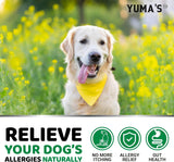 NEW Dog Allergy Relief Chews - Dog Itching Skin Relief Treatment Pills - 170 Treats - Anti-Itch Chewables - Itchy and Paw Licking - Hot Spots - Omega 3 Fish Oil - Dry Skin & Coat Supplement, BB: 03/28