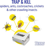 NEW TERRO T3206SR 3 Pack Spider & Insect Trap-12 Traps, 3 Pack, White
