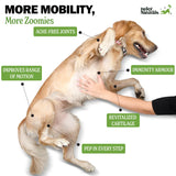 NEW Retails $57, Deley Naturals Hip and Joint Supplement for Dogs - Glucosamine Chondroitin MSM & Collagen for Dogs - Dog Joint Supplement, Smaller Chews, Low Calories, Same Ingredients - 120 Chicken Flavor Chews, BB: 04/27