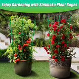 NEW Upgrade Tomato Cage, 36 Inches 6 Pack Adjustable Tomato Plant Support Cages for Garden, Tomato Stakes Trellis for Vegetables, Flowers, Fruit, Rose Vine, Climbing Plants