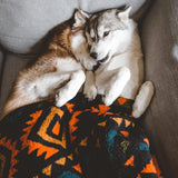 NEW Wilderdog Sherpa Fleece Waterproof Dog Blanket - 60" x 90" - Navy Retails $151+