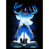NEW DIY 5D Diamond Painting Kits for Kids, Harry Potter Diamond Painting Art Round Full Drill for Adult Rhinestone Embroidery Home Wall Art Decor 12x16 inches