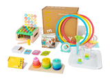 shopify auction
