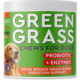 NEW PAWFECTCHEW Dog Pee Grass Helper - Grass Treatment for Dog Urine - Dog Urine Neutralizer for Grass Burn Spots - Dog Pee Lawn Repair Treats with Probiotics - Made in USA - 120 Chews, BB: 2027