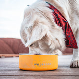 NEW Wilderdog Stainless Steel Dog Bowl with Extra Durable Kitchen-Grade BPA-Free Stainless Steel with Non-Slip Rubber Ringed Bottom (Mustard, 64 oz) Retails $82+