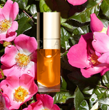 NEW Clarins Lip Comfort Oil - Honey Retails $38+