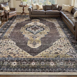 NEW Retails $230, Brown/Taupe Area Rug 9x12 Rugs for Living Room Carpet-Rugs for Bedroom Brown Machine Washable Soft Living Room Rug Vintage Non Silp Dining Office Tan Rug, Brown/Taupe