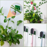 New ACCROL 10 Pcs Plant Climbing Wall Fixture Clips Rattan Vine Fixer Self Adhesive Hook Invisible Garden Binding Clip Wall Gardening (Color : Green Medium, Size : 10 PCS)