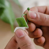 New ACCROL 10 Pcs Plant Climbing Wall Fixture Clips Rattan Vine Fixer Self Adhesive Hook Invisible Garden Binding Clip Wall Gardening (Color : Green Medium, Size : 10 PCS)