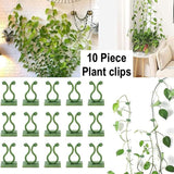 New ACCROL 10 Pcs Plant Climbing Wall Fixture Clips Rattan Vine Fixer Self Adhesive Hook Invisible Garden Binding Clip Wall Gardening (Color : Green Medium, Size : 10 PCS)