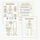New Human Anatomy Busy Book, Interactive Organ Matching, Mannequin Learning Activity Book, Unlocks Secrets of Body, Vibrant Illustrations, Perfect Educational Birthday Gift for All Ages