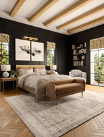 New Artiplanto Leah 6 Ft X 9 Ft Area Rug! Grey! Timeless, vintage look that adds sophistication to your home. Retails $435+