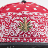 New Cayler & Sons cap snapback Hazely red / white / gold Retails $70+