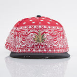 New Cayler & Sons cap snapback Hazely red / white / gold Retails $70+