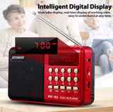 NEW STONEGO Mini Portable Radio Handheld Rechargeable Digital FM USB TF MP3 Player, Plays up to 8000 songs in MP3 format