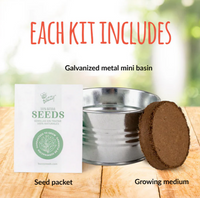 NEW Creeping Thyme Mini Basin Grow Kit, includes everything you need to create your own indoor garden, our pot is copper colour!