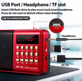 NEW STONEGO Mini Portable Radio Handheld Rechargeable Digital FM USB TF MP3 Player, Plays up to 8000 songs in MP3 format