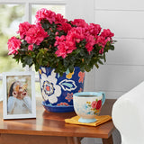 NEW The Pioneer Woman Farmhouse 6 Inch MAGIC MEADOWS Charming Ceramic Planter in Vibrant Floral Pattern