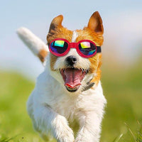 New Red Pet Goggles For Dogs And Cats, Sunscreen, Uv Protection, Waterproof, Anti-Fog, Windproof, Sandproof, Cool Sunglasses