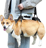 NEW Retails $177, Dog Lift Harness, Dog Lift Sling Carrier with Handle & Shoulder Sling, Support Harness for Rear Back Legs Helps, Disabled, Arthritis, Joint Injuries, Paralysis Up Stairs Blue, Extra Large）