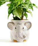 New Retails $25+ ELEPHANT Plant Parent Buddies 4.7" H Ceramic Planter W/Drain (Plant NOT Included)