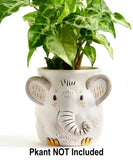 New Retails $25+ ELEPHANT Plant Parent Buddies 4.7" H Ceramic Planter W/Drain (Plant NOT Included)