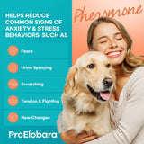 New Dog Calming Pheromone Plug Diffuser: Dog Calming Pheromones Diffuser - Reduces Stress & Anxiety Calming Pheromone Diffuser for Dogs - Calm Dogs 60 Supply! BB: 03/28