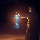 NEW Hanging Jellyfish Lights - 5 Pack Glowing Jellyfish Lamps for Outdoor Decor, Ocean Theme Party Lights for Garden, Yard & Landscape Decoration