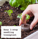 NEW Retails $45, Jiffy Seed Starting Kit, 36 Cell 36mm Peat Pellets