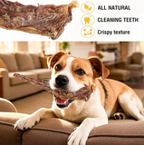 NEW Sealed Natural Beef Tail Bones for Dogs - Long-Lasting Dental Chew, Rawhide-Free & Digestible Dog Treats, Single Ingredient Grass-Fed Beef, BB: 05/27
