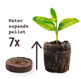 NEW Retails $45, Jiffy Seed Starting Kit, 36 Cell 36mm Peat Pellets
