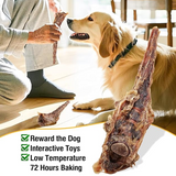 NEW Sealed Natural Beef Tail Bones for Dogs - Long-Lasting Dental Chew, Rawhide-Free & Digestible Dog Treats, Single Ingredient Grass-Fed Beef, BB: 05/27