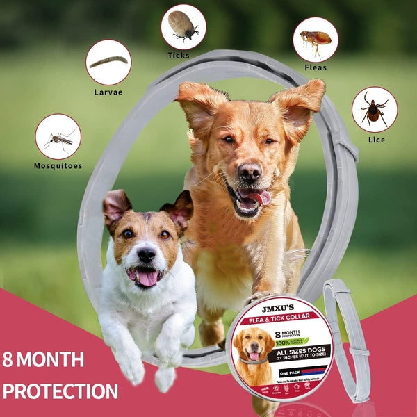 New Flea and Tick Collar for Dogs, Flea and Tick Prevention for Dog, 2 ... - Flea And Tick Prevention Collar With Disagreement Beads