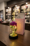 New Forever Rose with fairy lights in dome, battery operated