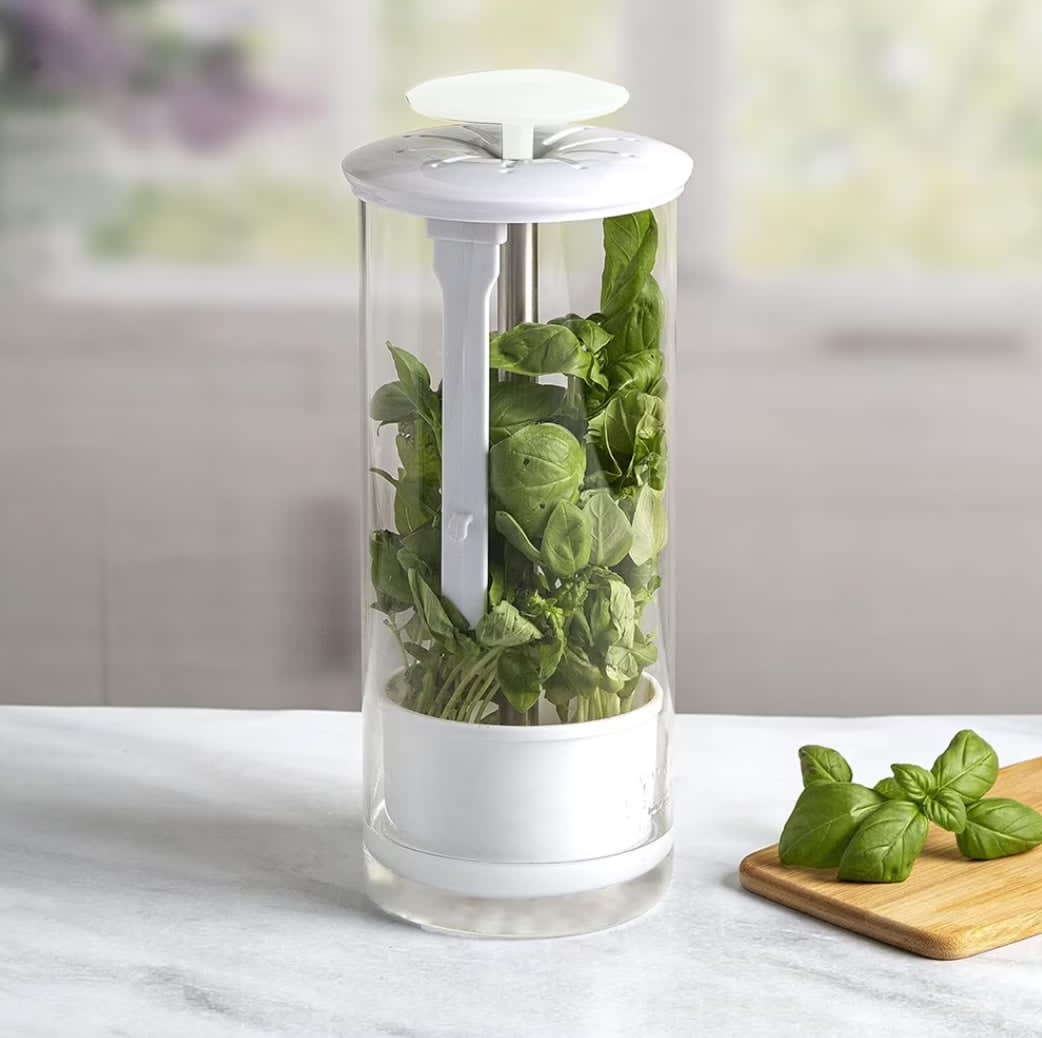 NEW IN BOX Wolfgang Puck Tempered Glass Herb Keeper with Ventilated Li ...